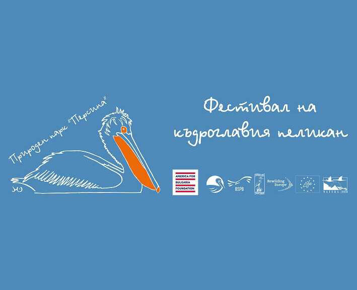 Фестивал на къдроглавия пеликан