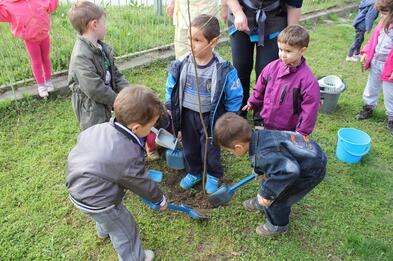 Седмица на гората 2014, в Природен парк „Персина“